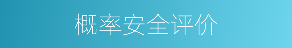 概率安全评价的同义词