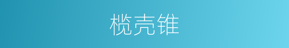 榄壳锥的同义词