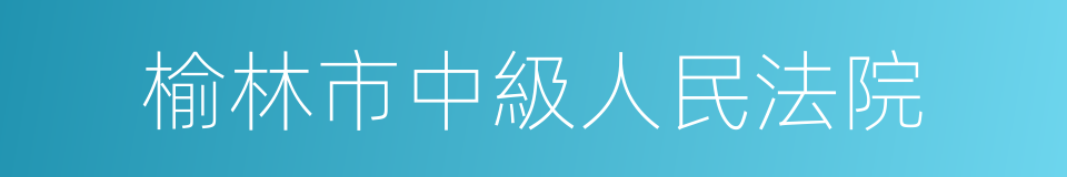 榆林市中級人民法院的同義詞