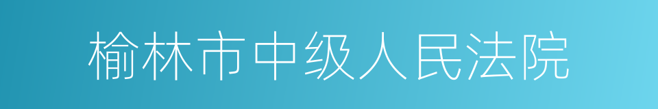 榆林市中级人民法院的同义词