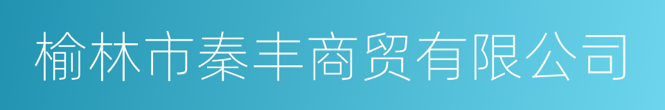 榆林市秦丰商贸有限公司的同义词