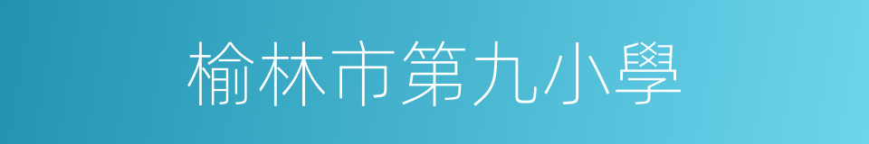 榆林市第九小學的同義詞