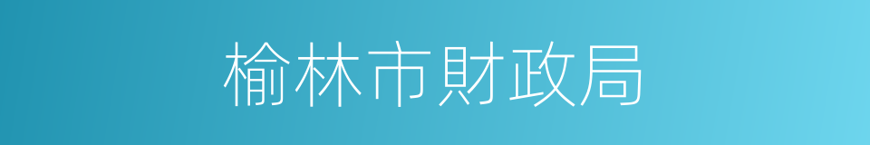 榆林市財政局的同義詞