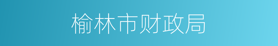 榆林市财政局的同义词