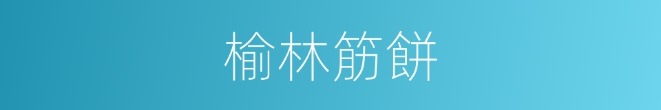 榆林筋餅的同義詞