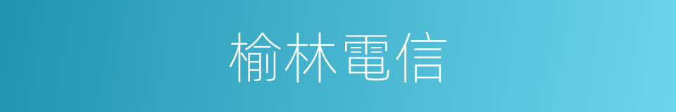 榆林電信的同義詞