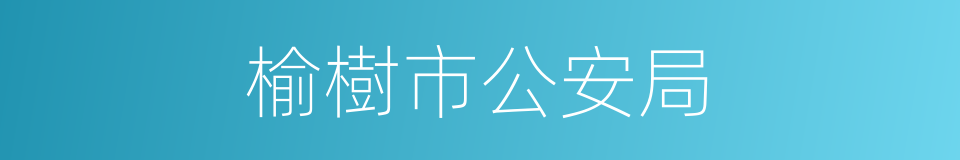 榆樹市公安局的同義詞