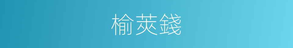 榆莢錢的同義詞