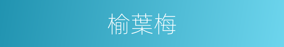 榆葉梅的意思