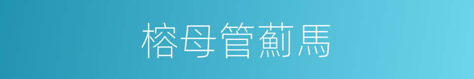 榕母管薊馬的同義詞