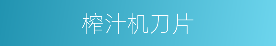 榨汁机刀片的同义词