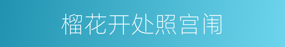 榴花开处照宫闱的同义词