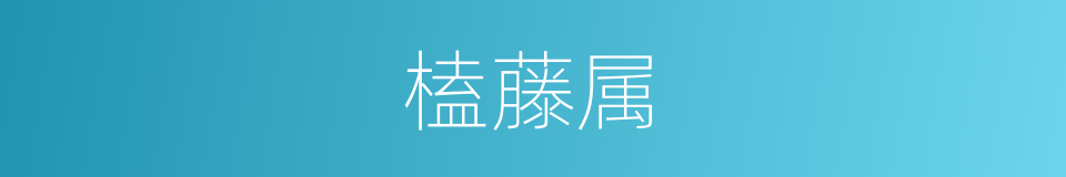 榼藤属的同义词