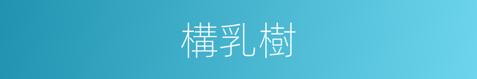 構乳樹的同義詞