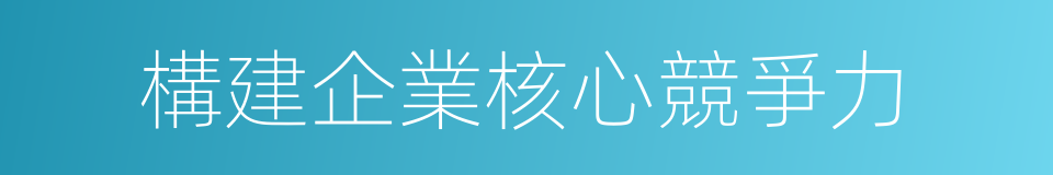 構建企業核心競爭力的同義詞