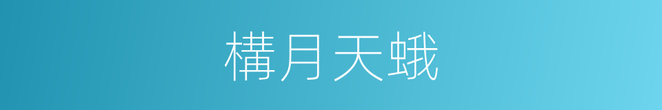 構月天蛾的同義詞