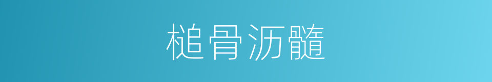槌骨沥髓的同义词