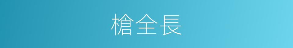 槍全長的同義詞