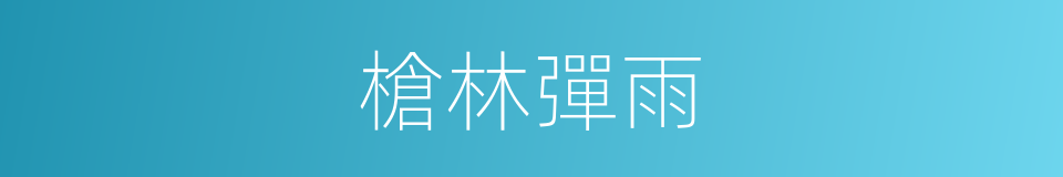 槍林彈雨的意思