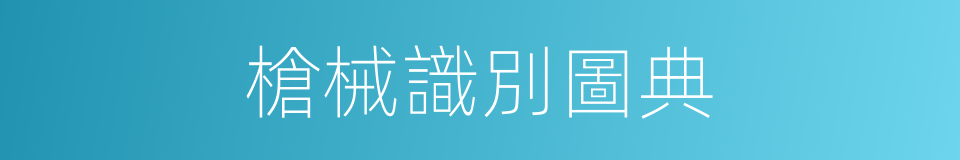 槍械識別圖典的同義詞
