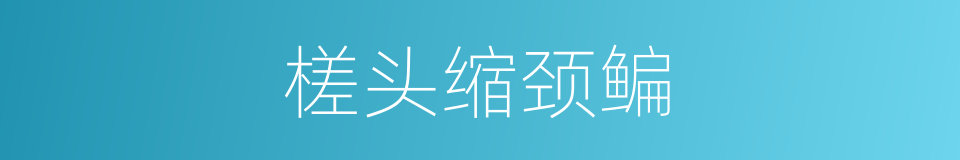 槎头缩颈鳊的意思
