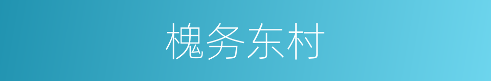 槐务东村的同义词