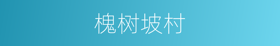 槐树坡村的同义词