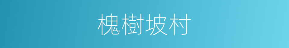 槐樹坡村的同義詞