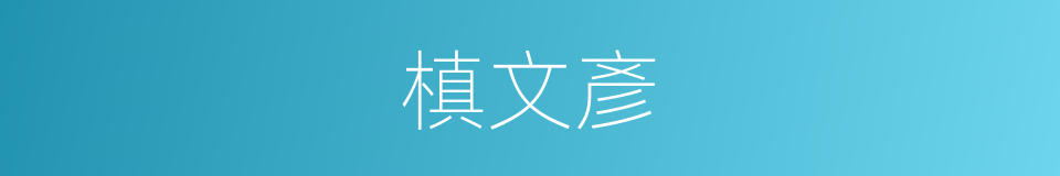 槙文彥的同義詞