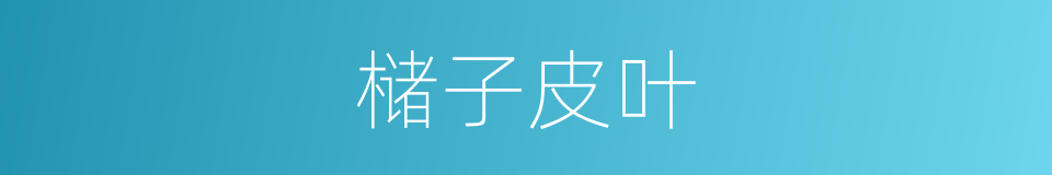 槠子皮叶的同义词