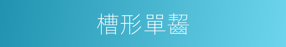 槽形單齧的同義詞