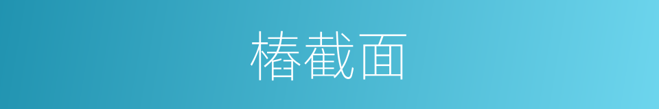 樁截面的同義詞
