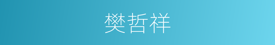 樊哲祥的同义词