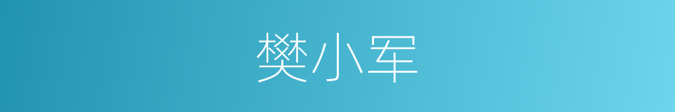 樊小军的同义词