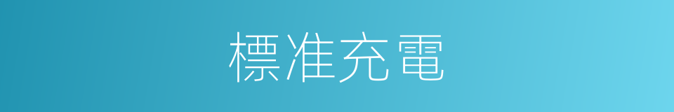 標准充電的同義詞