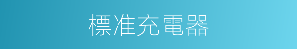標准充電器的同義詞