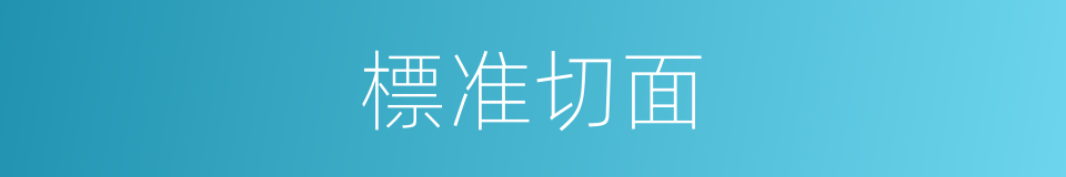 標准切面的同義詞
