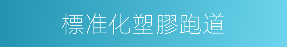 標准化塑膠跑道的同義詞
