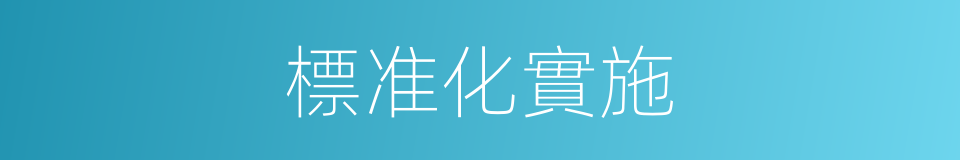 標准化實施的同義詞