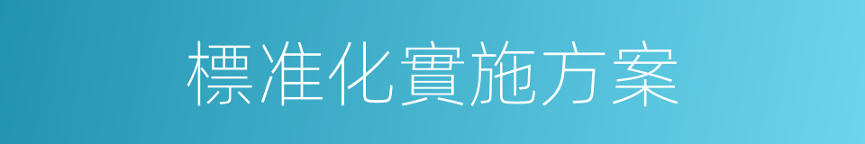 標准化實施方案的同義詞