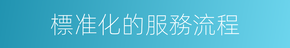 標准化的服務流程的同義詞