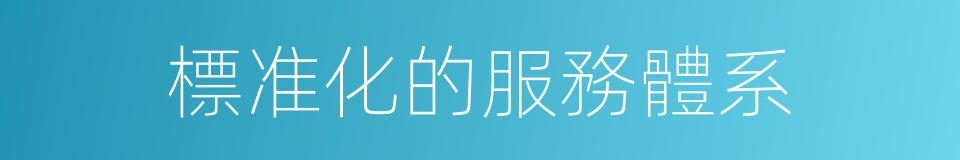 標准化的服務體系的同義詞