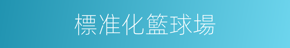 標准化籃球場的同義詞
