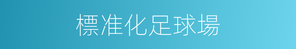 標准化足球場的同義詞