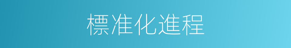 標准化進程的同義詞