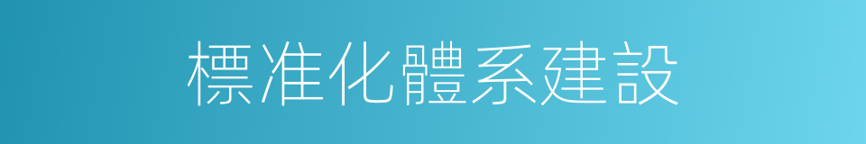 標准化體系建設的同義詞