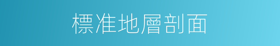 標准地層剖面的同義詞