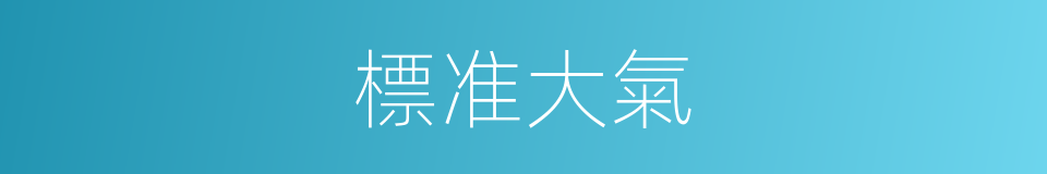 標准大氣的同義詞