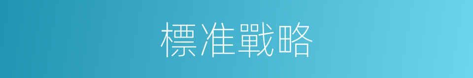 標准戰略的同義詞