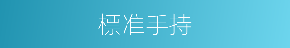標准手持的同義詞